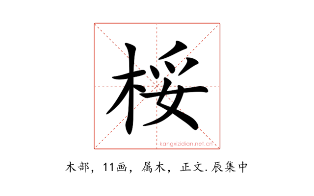 桵