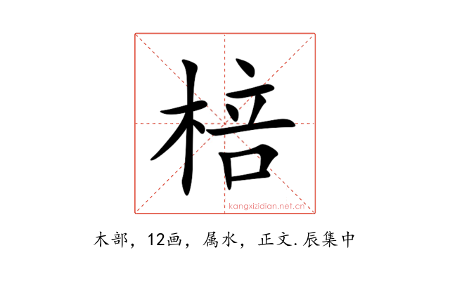 棓