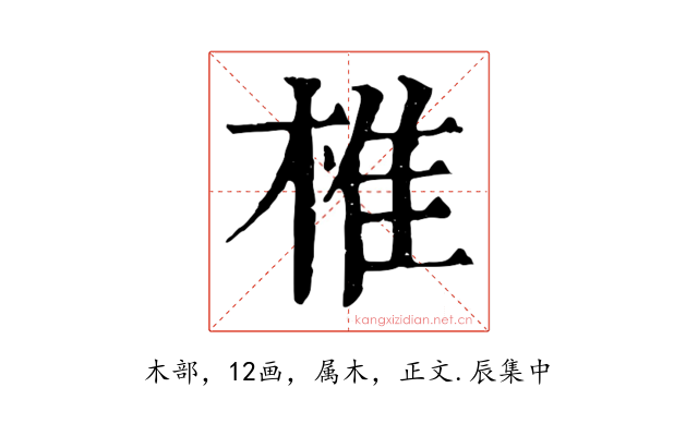 椎