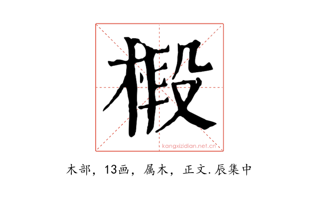 椴