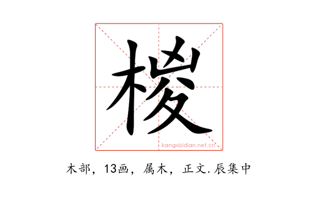 椶