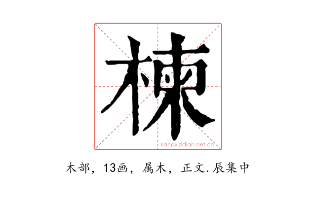 楝