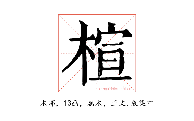 楦