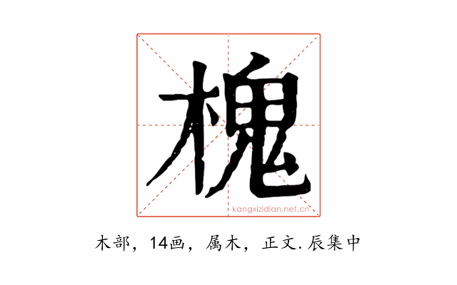 槐