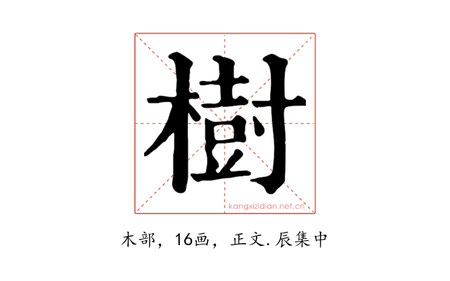 樹