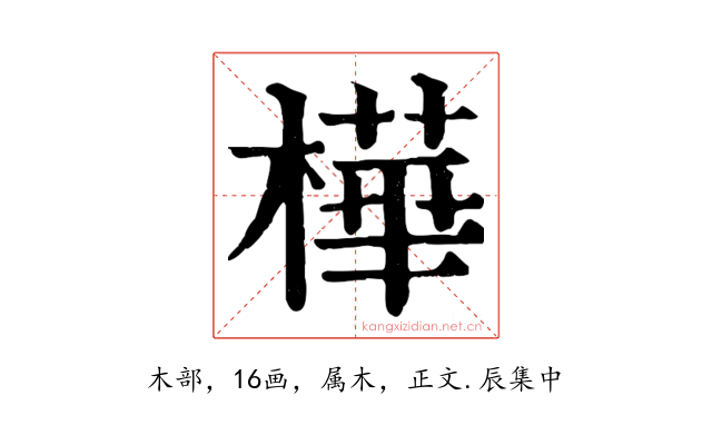 樺