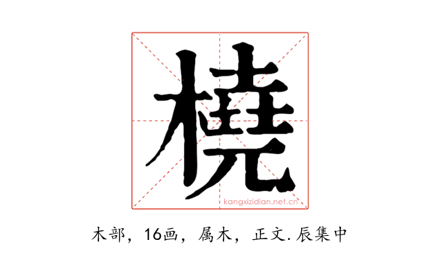 橈