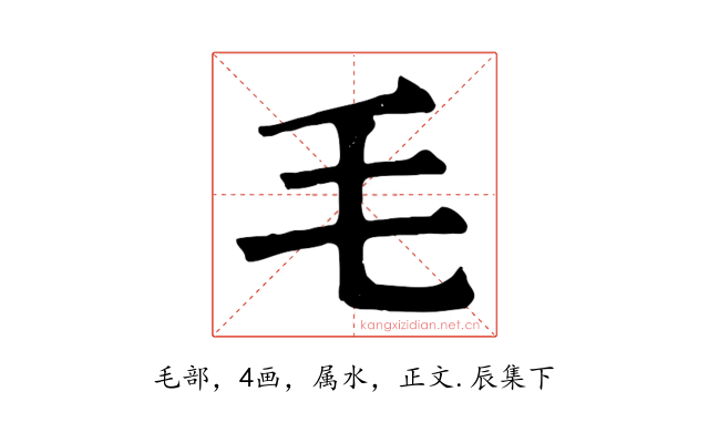 毛