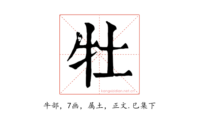 牡