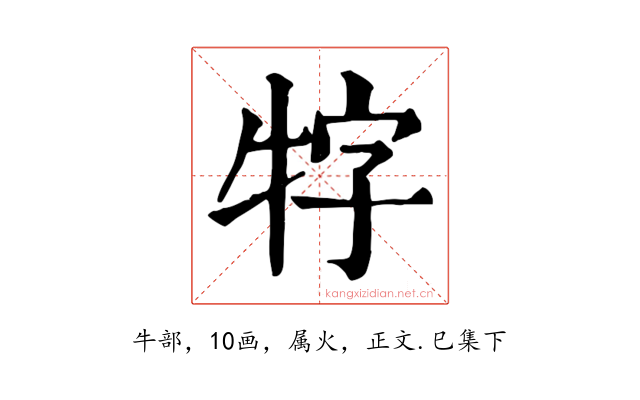 牸