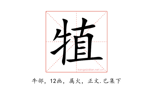 犆
