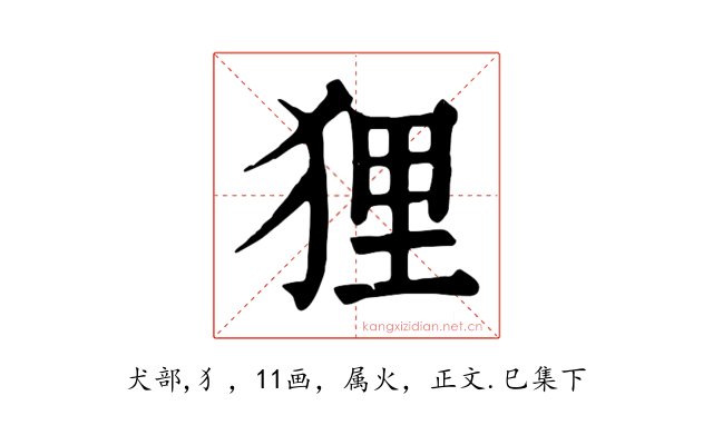 狸