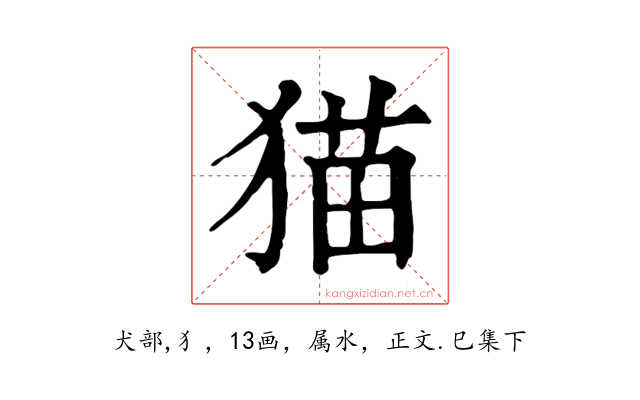 猫
