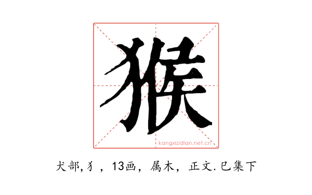 猴