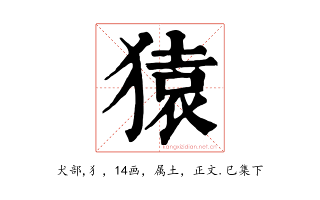 猿