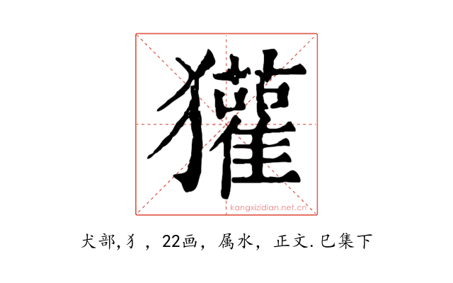 獾