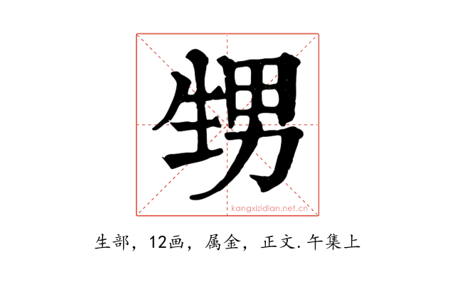 甥
