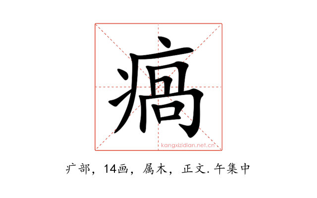 瘑