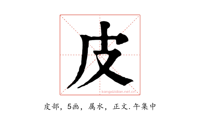 皮