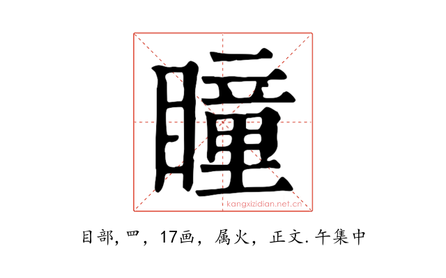 瞳