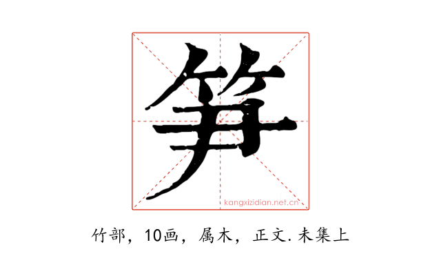 笋