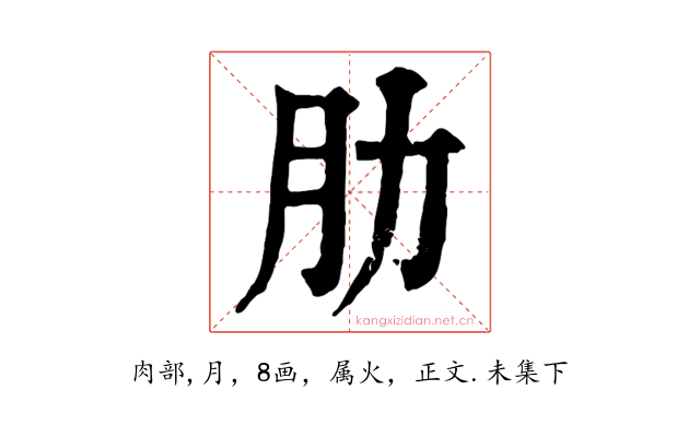 肋