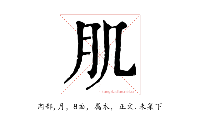 肌