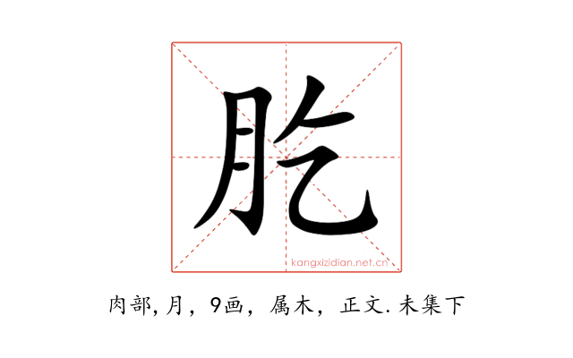 肐