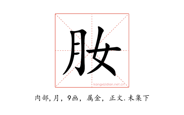 肗