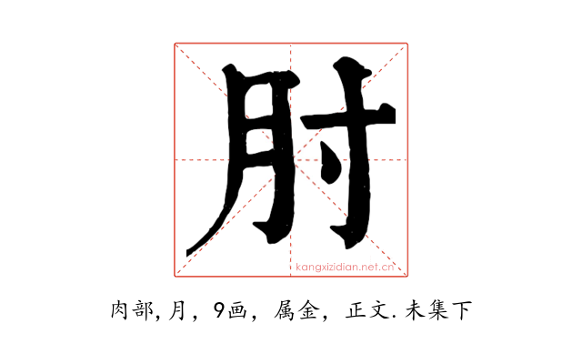 肘