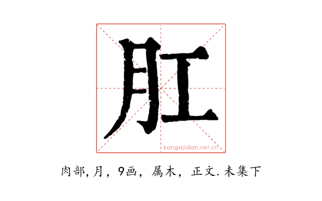 肛