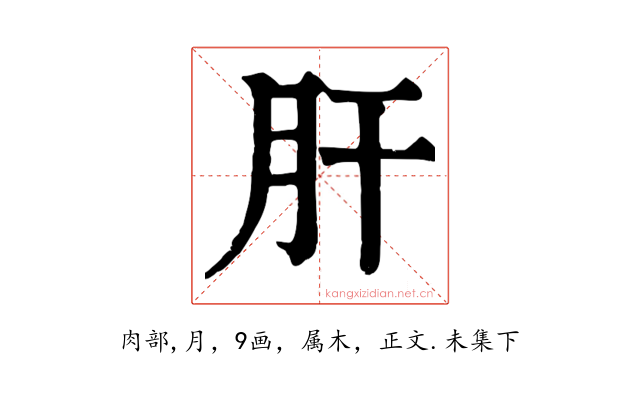 肝