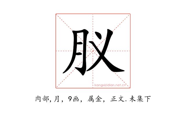 肞