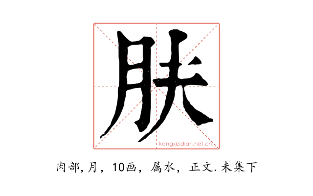 肤
