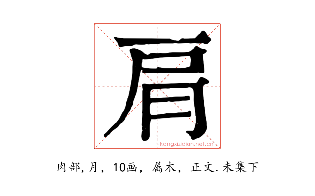 肩