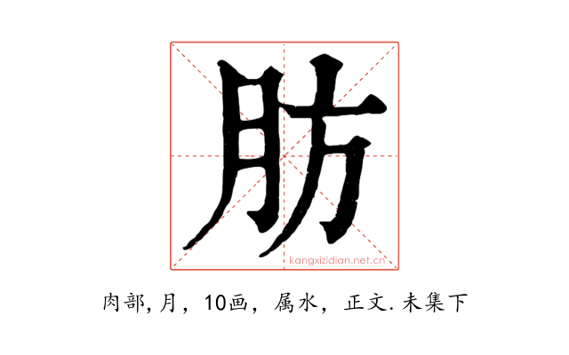 肪