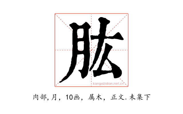 肱