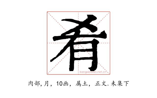 肴