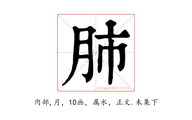 肺