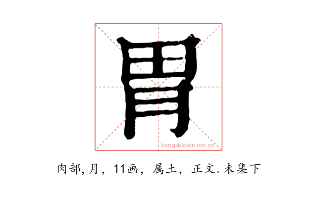 胃