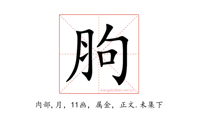 胊