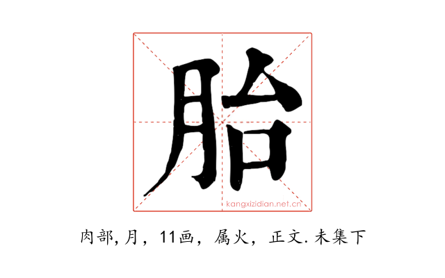 胎