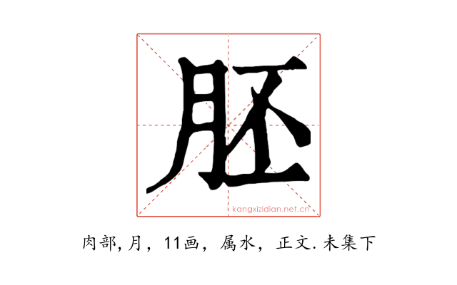 胚