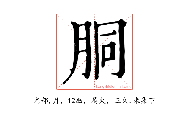 胴