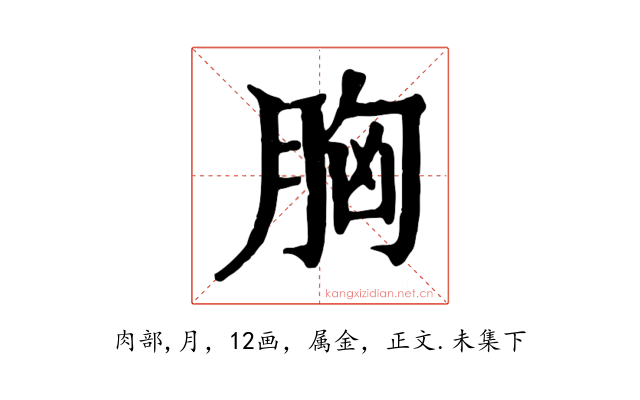 胸