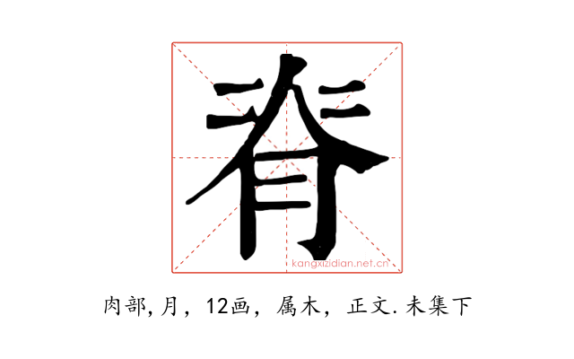 脊