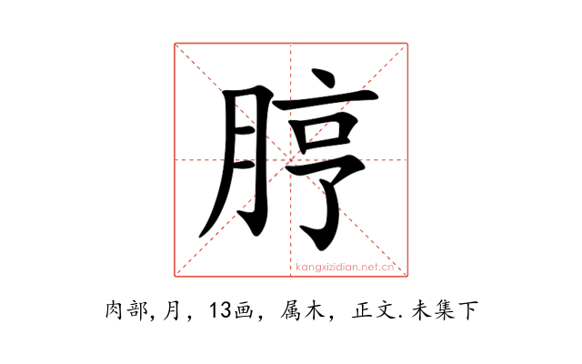 脝