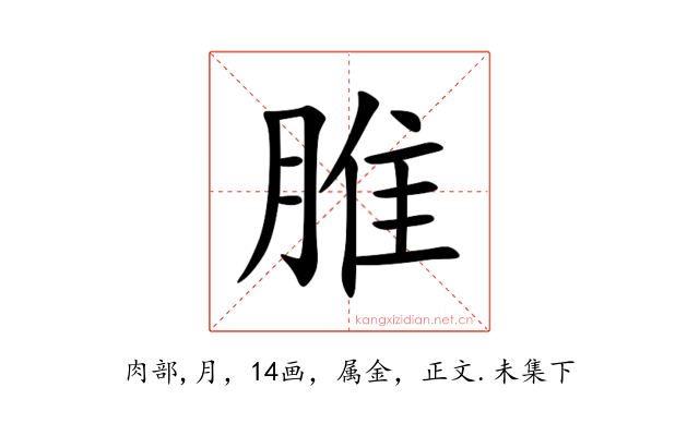 脽