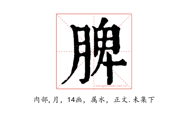 脾