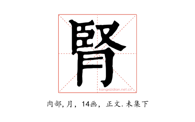 腎